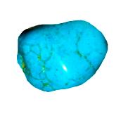 Turquoise 267.25 CTS Brute Polie 