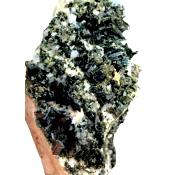 Actinolite  1845.60 CTS Brute Cristal
