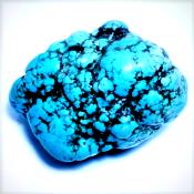 Turquoise 525.80 CTS Brute Polie 